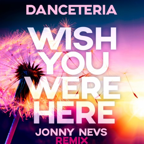 Wish You Were Here (Jonny Nevs Discofox Extended Mix) | Boomplay Music