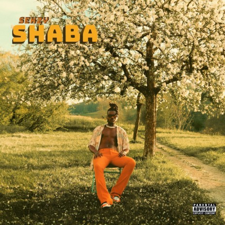 Shaba ft. SANTO | Boomplay Music