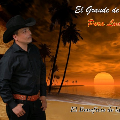 CORRIDO DEL GALLO | Boomplay Music