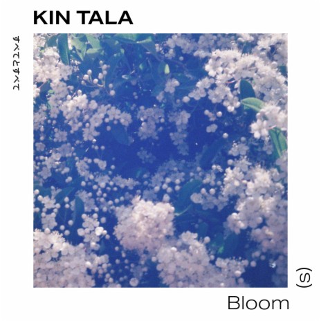 Bloom(s) | Boomplay Music