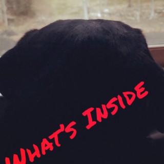 What's Inside