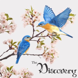 The Discovery