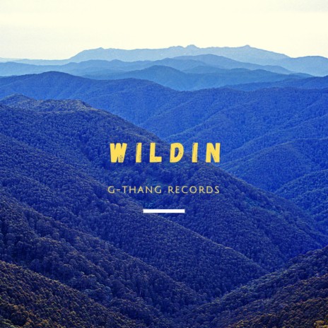 Wildin' (feat. Connor-Mctodd) | Boomplay Music