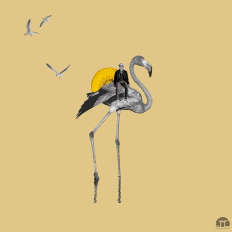 Golden Kiwi Flamingo ft. TAKESY | Boomplay Music