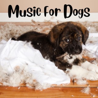 Music For Dogs