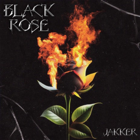 Black Rose | Boomplay Music