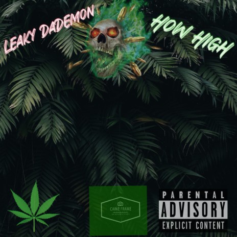 How High | Boomplay Music