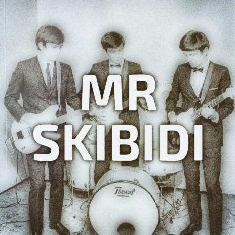 mr skibidi (slowed) | Boomplay Music