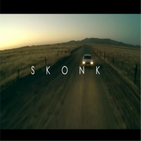 Skonk | Boomplay Music