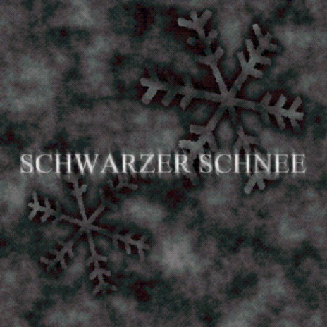 Schwarzer Schnee (Instrumental) | Boomplay Music