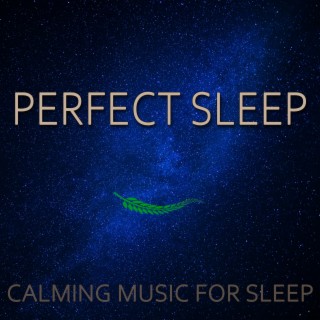 PEACEFUL SLUMBER ~ CALMING MUSIC FOR SLEEP