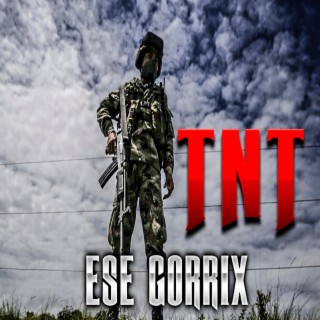 El TNT