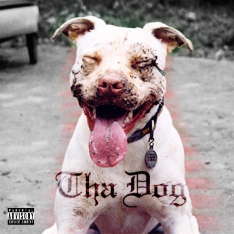 Tha Dog | Boomplay Music