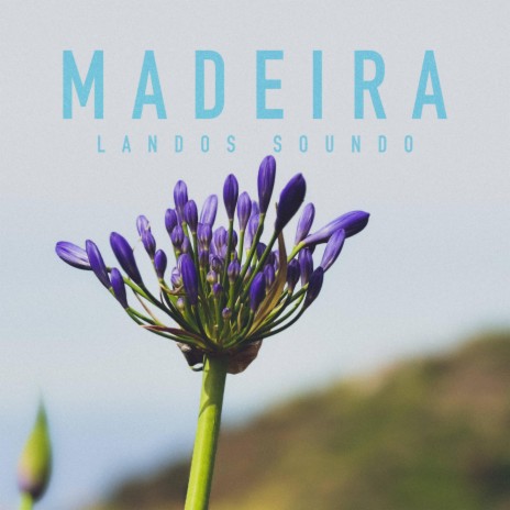 Madeira | Boomplay Music