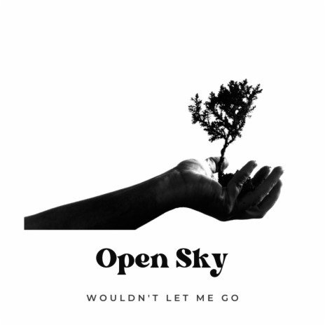 Wouldn't Let Me Go | Boomplay Music