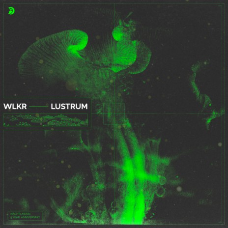 Lustrum | Boomplay Music