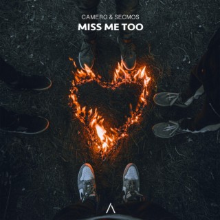 Miss Me Too (Instrumental)