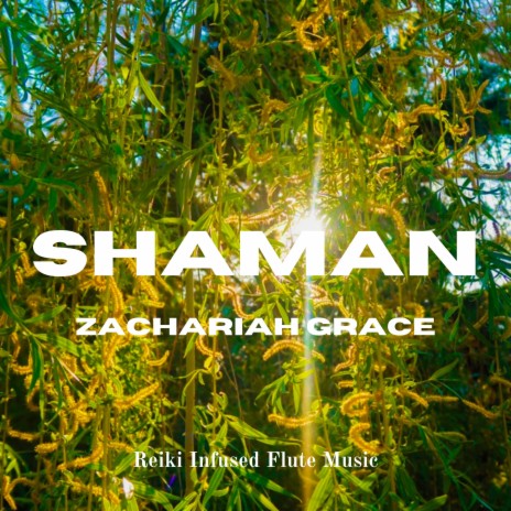 Shaman | Boomplay Music