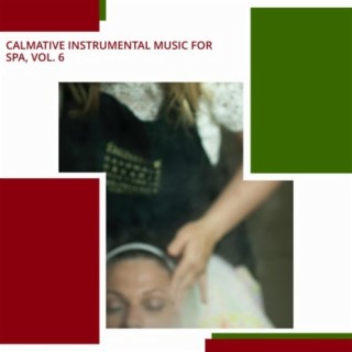Calmative Instrumental Music For Spa, Vol. 6