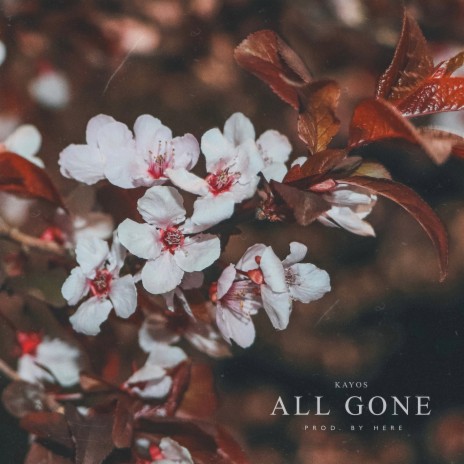 All Gone | Boomplay Music