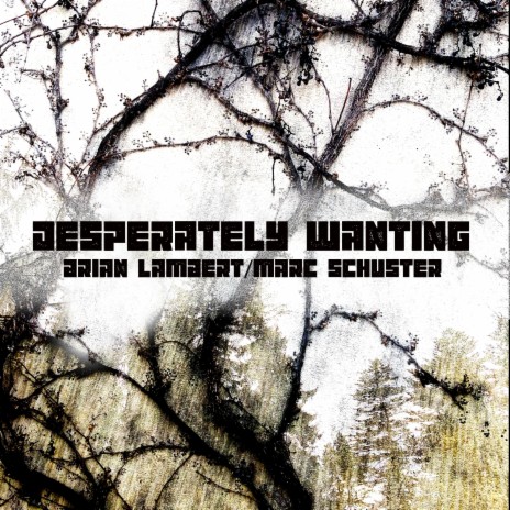 Desperately Wanting ft. Marc Schuster | Boomplay Music