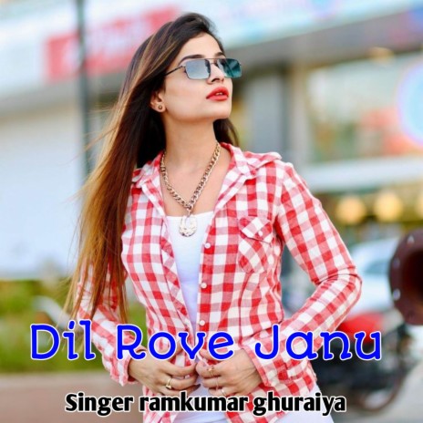 Dil Rove Janu | Boomplay Music