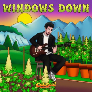 Windows Down