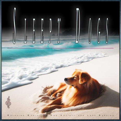 Calming Ocean Wave Sound for Sleep ft. Music For Dogs With Anxiety & Calming Music For Dogs