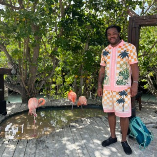 Flamingo Island