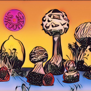 Shroomies