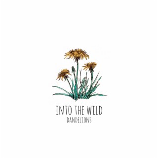 Dandelions