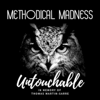 Untouchable (2019 Version) lyrics | Boomplay Music