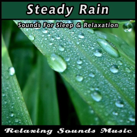 Steady Rain Sounds for Sleep and Relaxation | Boomplay Music