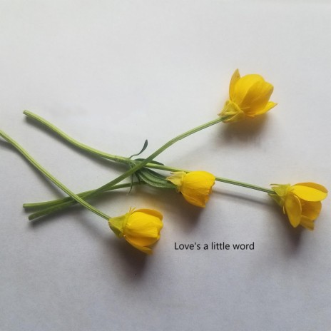 Love's a Little Word