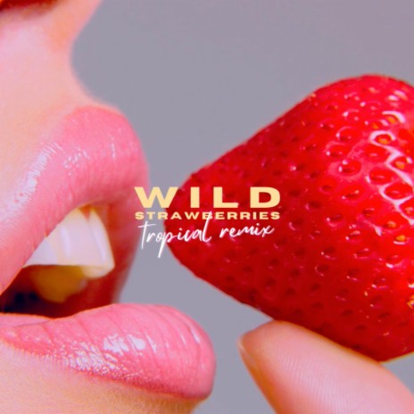 Wild Strawberries (Tropical Remix) | Boomplay Music