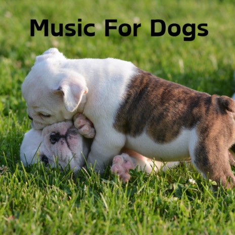 Soothing Serenade for Canines ft. Music For Dogs Peace, Relaxing Puppy Music & Calm Pets Music Academy | Boomplay Music