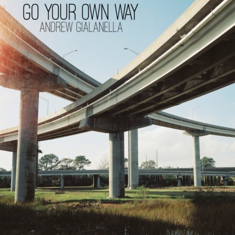 Go Your Own Way | Boomplay Music