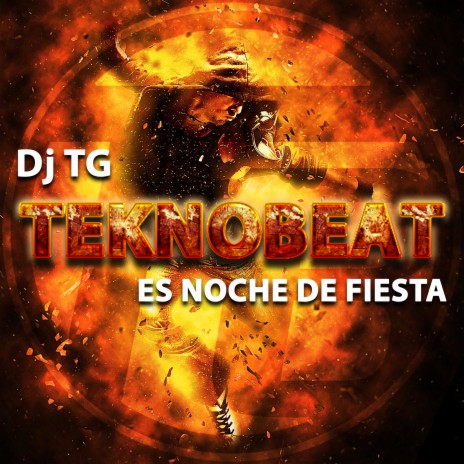 Es Noche de Fiesta (Radio Edit) ft. DJ TG & Dj Phenomena | Boomplay Music