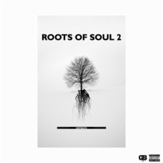 Roots of Soul 2