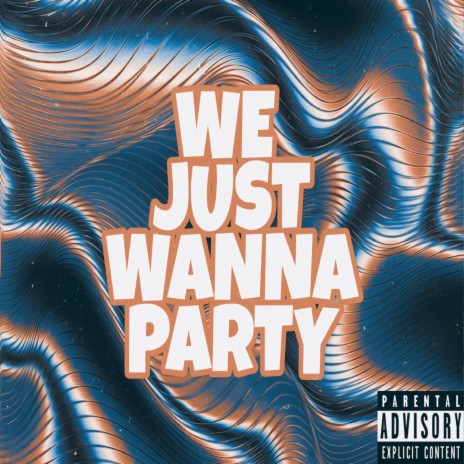 We Just Wanna Party (feat. Kashin Kash) | Boomplay Music