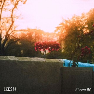 Bloom EP