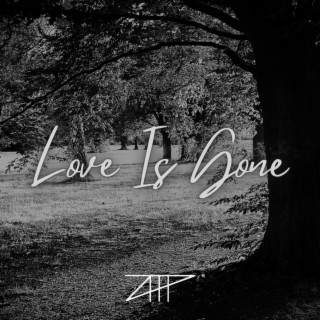 Love Is Gone (feat. Loraina)