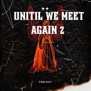 Until We Meet Again 2