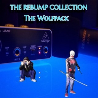 The Rebump Collection