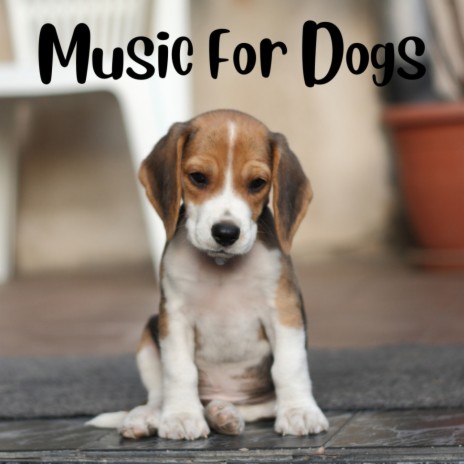 Canine Calmness ft. Music For Dogs, Relaxing Puppy Music & Calm Pets Music Academy | Boomplay Music