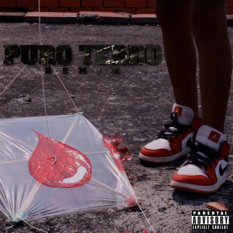 Puro Terro (REMIX) ft. Braun Og Boy, Cainclue ii, Zelcok Kp & Taylor Sc | Boomplay Music