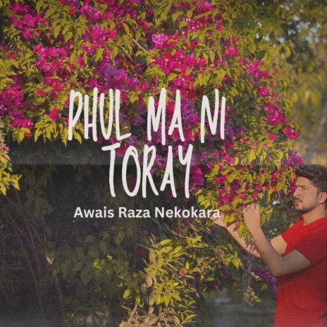 Phul Ma Nai Toray | Boomplay Music