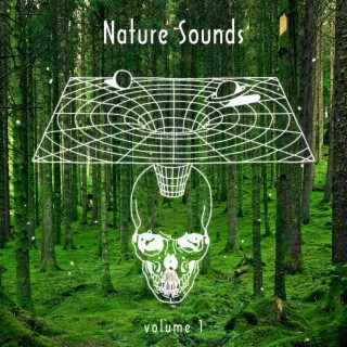 Nature Sounds, Vol. 1