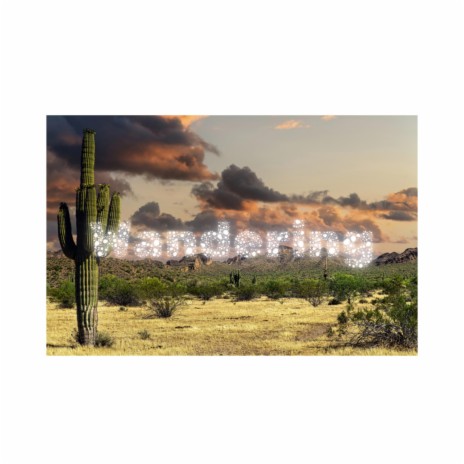 Wandering | Boomplay Music