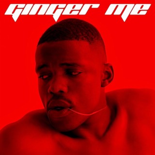 Ginger Me lyrics | Boomplay Music